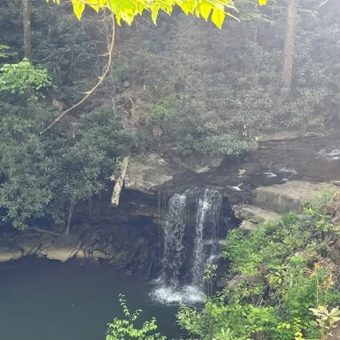 Waterfall in a forest.